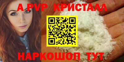 гашик Кунгур